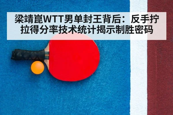 ping pong racket
